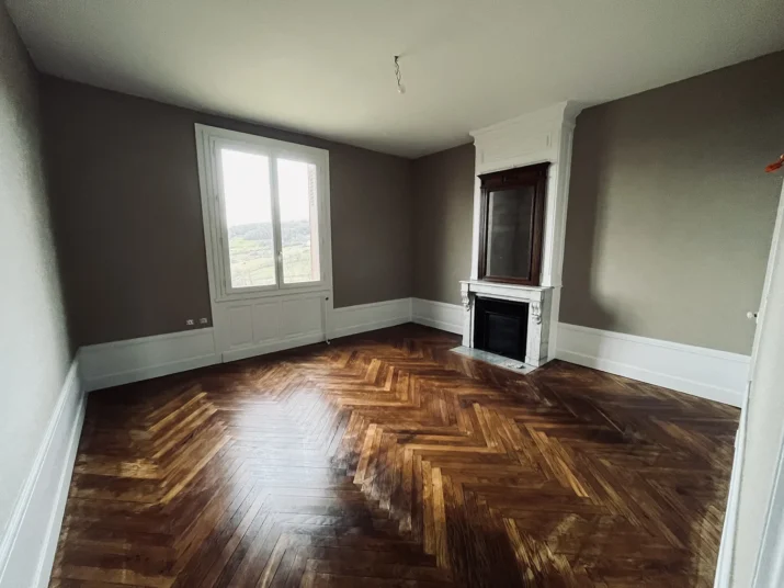 thierry violet parquet 02